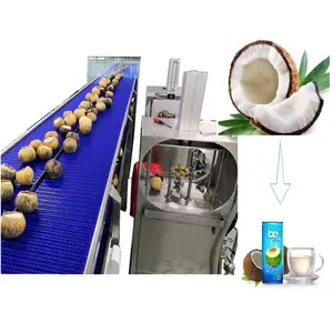 Máquina descascarilladora de coco línea de producción de pelado de corte de coco automático