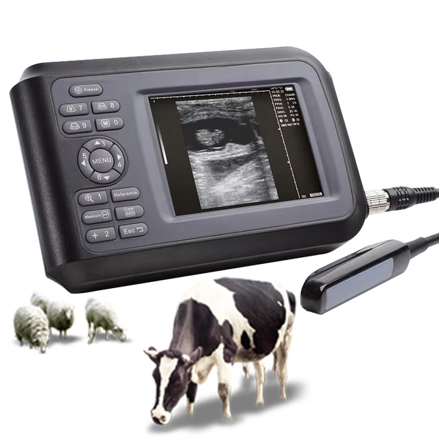 Cheapest Black and White Ultrasound Handheld Animal Portable Full Digital Veterinary Diagnostic Equine Ultrasound Machine