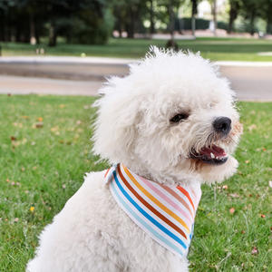 Bandanas con estampado personalizado para perros pequeños y grandes, conjunto ajustable de algodón para mascotas - Product Image 6