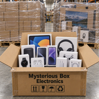 Boîte Mystère Électronique Basique Chanceuse : Consoles de Jeu, Moniteurs, Claviers, Casques, Manettes – Stock en Gros pour la Revente