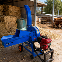 Machine à hacher le fourrage mobile 9Z-2.5Z, moteur à essence, pour l'alimentation du bétail