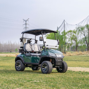 Supply Battery Driven <b>2</b>-seat Golf Buggy <b>2</b> <b>Passenger</b> Car for Resort & Residential Villa - Product Image 4