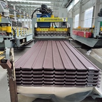 Direkt ab Werk PPGI Wellblech Farbbeschichtetes Verzinktes Dachpaneel ASTM A653 DX52D