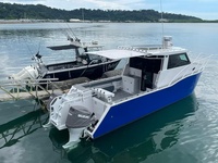 Sea King Bateau en aluminium Bateau de pêche 8.8m 30ft Maison Bateau à vendre