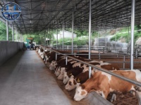 Structure en acier préfabriquée pour élevage de chèvres, fournisseur chinois, conception de hangar pour élevage de moutons