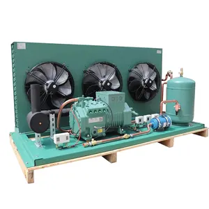 Ontploffingsvrieskamer Compressor Condensatie Units Met Verdampers