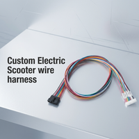 Kabel Konektor Skuter Listrik Elektronik Shanyou Kustom JST SH/ZH/PH/XH/VH Rakitan Kabel Harness 1.0/1.5/2.0/2.5mm Pitch