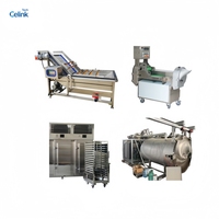Industriële voedselvriesdroger, vacuümvriesdroger, wasmachine, schiller, snijmachine voor fruit, groenten, snoep, chips, snacks productielijn