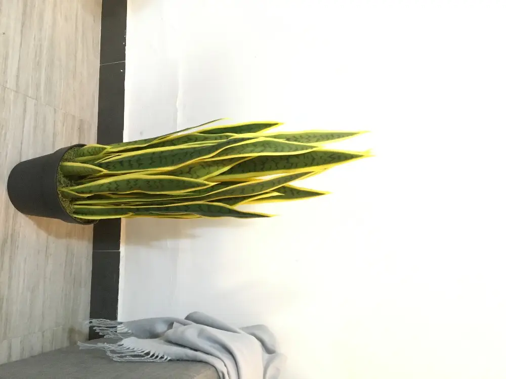 acheter une plante de serpent artificiel en plastique de 90 cm pour la décoration extérieure