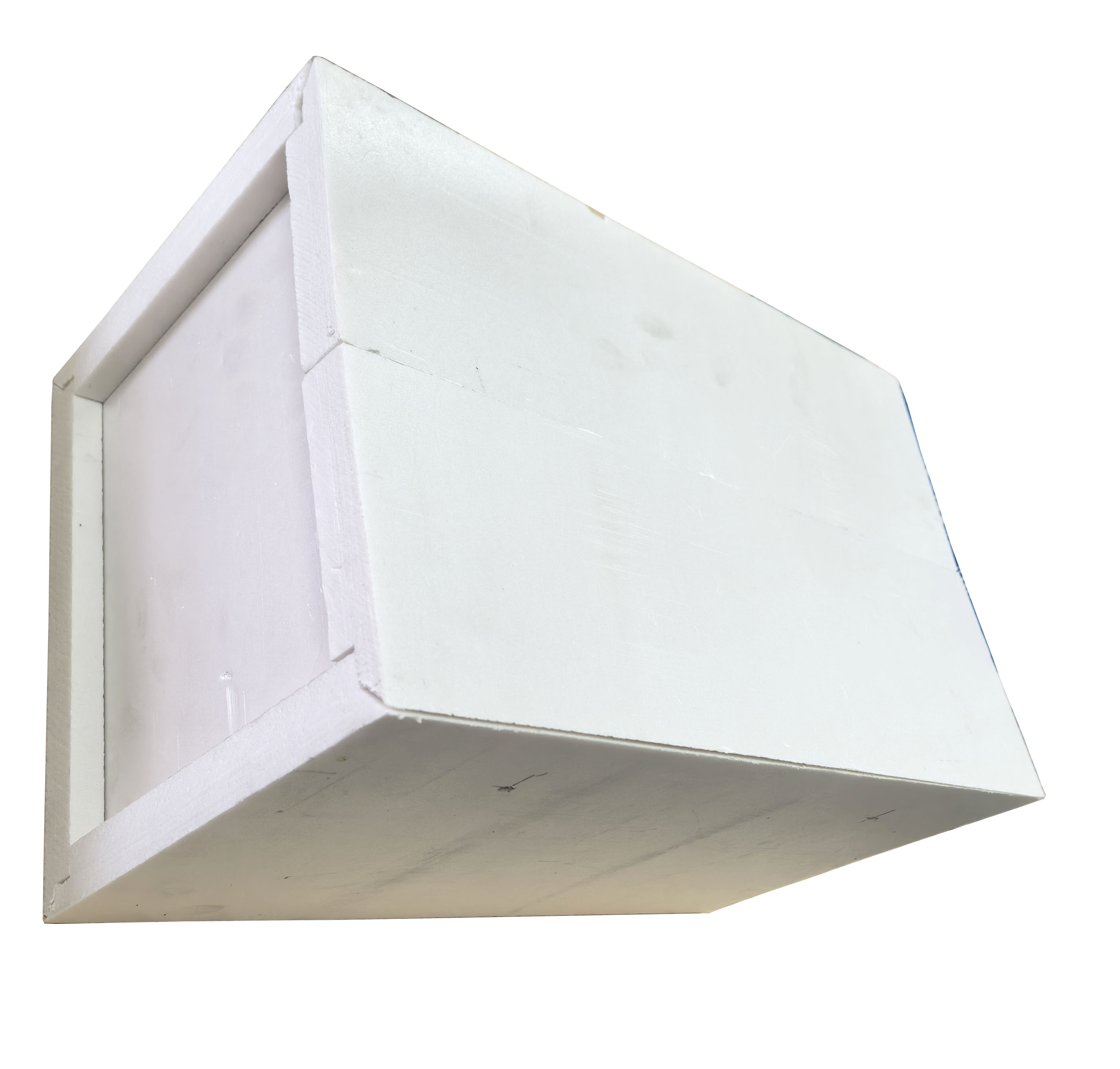 Customized Packaging Foam Manufacturer/fresh Products Packing Foam for Protecting