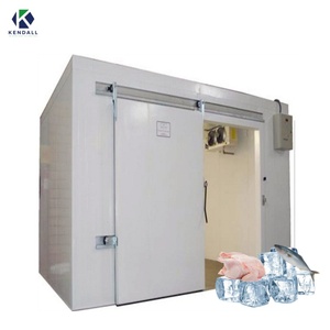 Cámara Frigorífica Logística Grande con Compresor Emerson para Almacenamiento de Carne, Pescado y Vegetales - Product Image 6