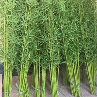 Plante artificielle en bambou 1,5 m, branche de bambou taïwanaise entièrement en plastique, arbre en bambou, plante artificielle verte en pot de pépinière, arbre décoratif