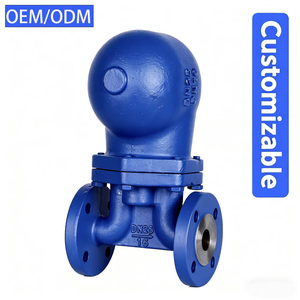 كرة رافعة من الفولاذ المقاوم للصدأ/المصبوب من OEM ، هيكل Shutoff للوسائط المائية - Product Image 2