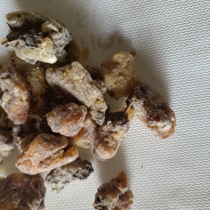 Goma de resina <span class=keywords><strong>Picea</strong></span> Asperata seca cruda natural <span class=keywords><strong>Picea</strong></span> Asperata a la venta - Product Image 4