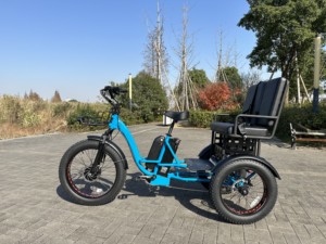Tricycle électrique cargo à double batterie disponible, 48V 25Ah+20Ah, 24 pouces, 3 roues, pneus larges - Product Image 2