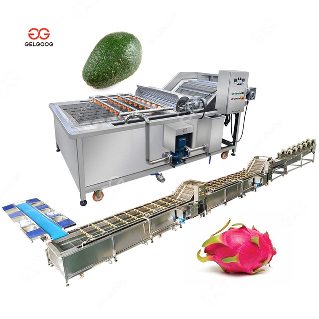 Gelgoog Ozone Avocado Fruit Washer Cleaning Device and Dragon Fruit Vegetable Washing Machine