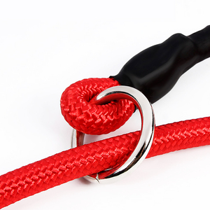 Correa de nailon resistente para perro, venta al por mayor, muestra gratis - Product Image 4
