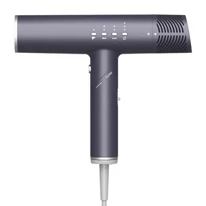 Smart Mini Hotel Ion Far Infrared BLDC Motor Air Hair Blow Dryer For Sale