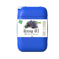 Huile Essentielle d'Hysope Pure et Naturelle de Qualité Thérapeutique, Pressée à Froid, en Vrac, à partir de Graines Brutes, pour Diffuseur d'Aromathérapie