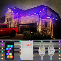 Lumières LED permanentes étanches Twinklight pour affichages extérieurs, compatibles 48V, fiables pour les événements commerciaux et festifs