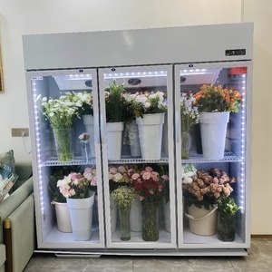 Arredamento Refrigerato Personalizzato per Fioristi - Espositore Refrigerato con Scaffalature a Gondola per Interni di Negozi - Product Image 4