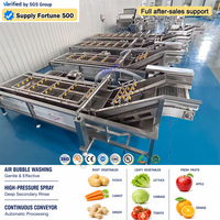 Automatische fruitmeel- en maïswasmachine [800KG/H] Hoge capaciteit belwasmachine met ozonsterilisatie voor voedselverwerkingsfabrieken