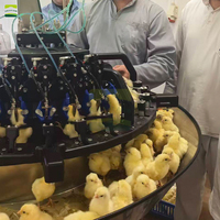 Découpeuse de becs au laser et vaccinateur pour écloserie à opérateur unique, 4000-4500/h, Compteur de poussins à écran tactile 4 cellules