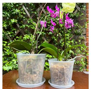 Blanc Vert Montagne Bassin Racine Contrôle Respirant Gallon Bassin Rose <span class=keywords><strong>Hortensia</strong></span> <span class=keywords><strong>Fraise</strong></span> Rempotage Pot De Fleurs En Plastique - Product Image 4