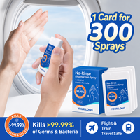 Spray désinfectant pour les mains portable, sans rinçage, sans alcool, pour les voyages, les hôtels, les avions, étiquette privée personnalisée, vente en gros
