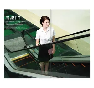 Volkslift 0016 المصعد السكنية مع 800 مللي متر العرض في الأماكن المغلقة والهواء الطلق المصعد