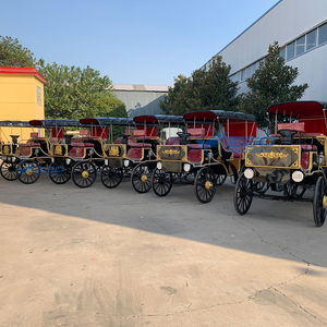 2025 Newest Hot Sale Wedding and Sightseeing Horse Drawn Carriage and Electric Horse Carriages for Sale - Product Image 3