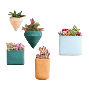Jardinières murales géométriques en résine Décoration intérieure Ins Fashion Style Suspension murale Pots de fleurs - Product Image 1