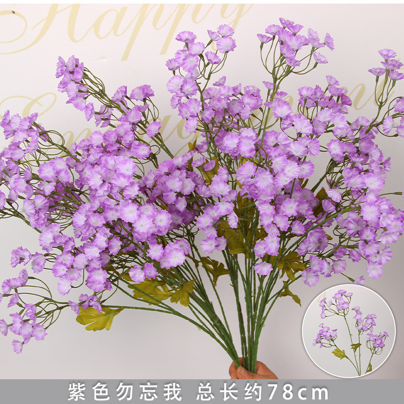 Rama de nomeolvides morado