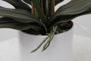 Real Tough White Plastic <strong>Orchid</strong> Flower Stem, Artificial <strong>Orchid</strong>, <strong>Orchid</strong> Flower Artificial - Product Image 5