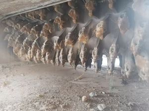 Mélangeur de recyclage à froid/mélangeur de route Wirtgen WR2500s d'occasion/utilisé wr2000 wr2500 Wr2500k WR200 Wr240 WR260 mélangeur de route de régénération à froid - Product Image 6