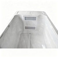 Spa préfabriqué extérieur personnalisé, piscine chauffée en acrylique hors sol