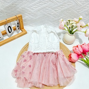 Robe de princesse pour animaux de compagnie, jupe en Tulle rose avec imprimé cœur pour chiens et chats, tenue d'été en Polyester, vêtements quatre saisons - Product Image 2