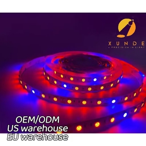 12V <span class=keywords><strong>LED</strong></span> spectre complet <span class=keywords><strong>plante</strong></span> d'intérieur élèvent la bande lumineuse étanche légume fleur lumière de remplissage de 3:1 4:1 5:1 rapport rouge bleu couleur - Product Image 2