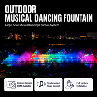 Fuente de Agua Musical para Lagos, Diseño Personalizado, Sistema de Acero Inoxidable Comercial, Iluminación Láser RGB, IP68, Suministro de Fábrica