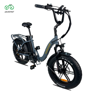 QUEENE/électrique Super puissant vitesse maximale 50km 1000w moteur vélo adulte Ele 20 pouces hors route gros pneu 48v 70km vélo électrique - Product Image 1