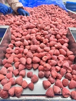 Fabrieksgroothandel 100% natuurlijke gevriesdroogde hele aardbeien FD knapperig fruit zonder toevoegingen bulk levering