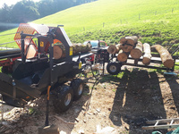 Processeur de bois de chauffage RIMA Force de division de 30 tonnes, contrôle de manette de moteur électrique 24 "longueur de travail fendeur de bûches