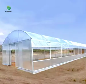 Serre végétale à tunnel unique commerciale à ossature métallique à vendre à la ferme