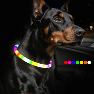 <span class=keywords><strong>Collar</strong></span> de Perro de Encaje de Plástico LED Recargable, Multicolor, Brillante, Impermeable, con Patrón de Leopardo, Luz de Seguridad Nocturna para Mascotas, para Todas las Estaciones - Product Image 1