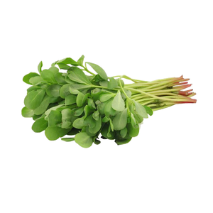 Bacopasidesパウダー<span class=keywords><strong>Bacopa</strong></span> Monnieriエキス50% Bacopasides工場供給 - Product Image 3