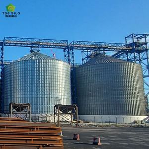ไซโล<span class=keywords><strong>ข้าว</strong></span>เหล็กชุบสังกะสีคุณภาพสูง TSE TCK 2000T แบบก้นแบน สำ<span class=keywords><strong>ห</strong></span>รับฟาร์มสุกร รับประกัน 1 ปี - Product Image 3