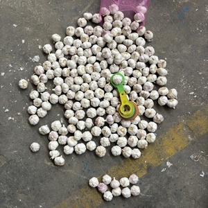 Nouvelle Saison Ail Blanc Frais du Shandong en Sac <span class=keywords><strong>de</strong></span> 24 kg - Product Image 6