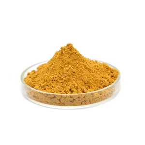 High Quality Gymnema Sylvestre Extract Powder 25% 75% Gymnemic Acid