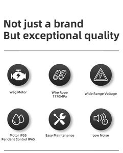 Treuil à câble électrique triphasé robuste, nouveau produit chinois <span class=keywords><strong>2023</strong></span>, fourni au Pérou, meilleure qualité, 1000 kg, 100 m - Product Image 6