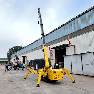 Grue araignée 3T personnalisée : Choisissez la longueur de la flèche et la marque du moteur pour des projets sur mesure - Product Image 3